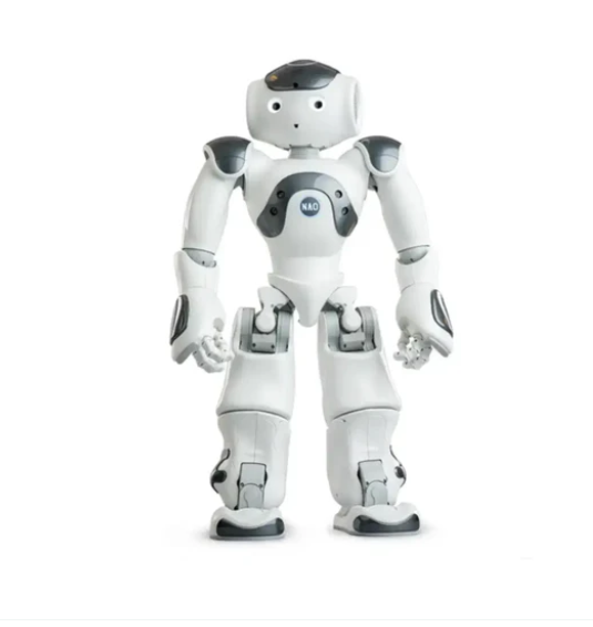 ZoraBots Nao V6와 Zora 솔루션