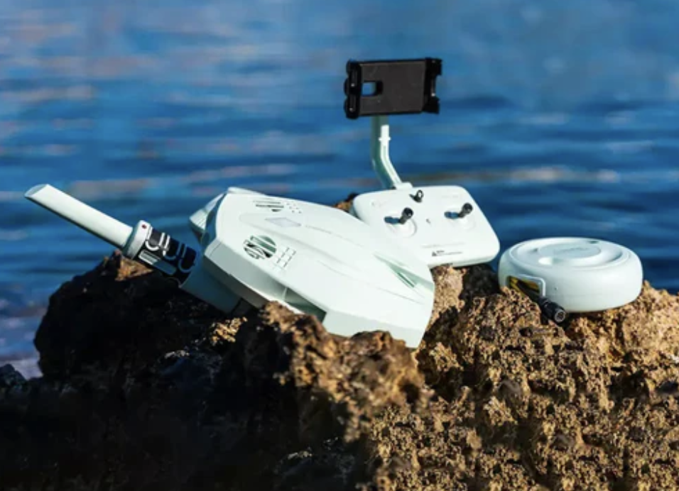 도리 탐험을 쫓다 (민트 그린)