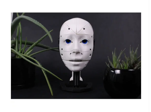 EZ-InMoov 고성능 로봇 헤드 키트